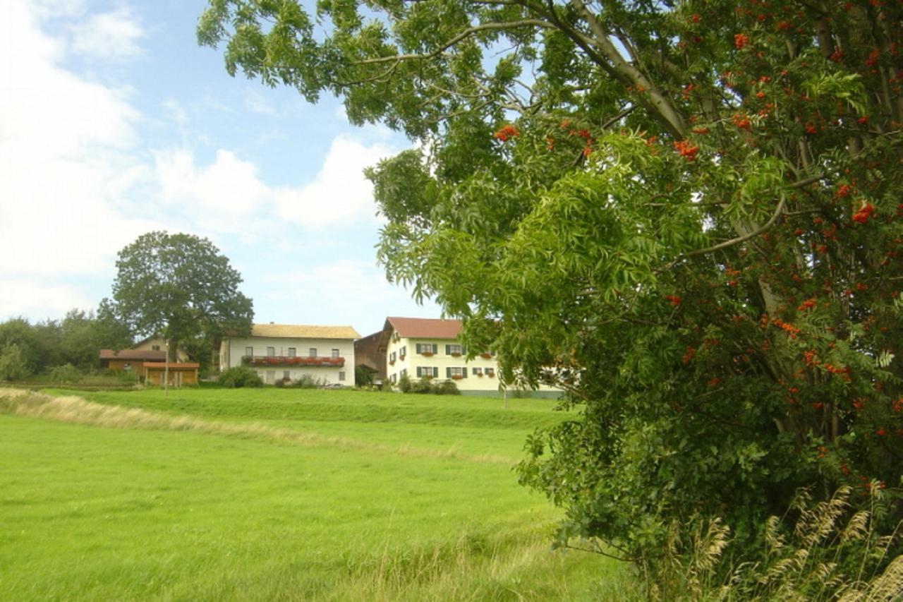 Birkenhof Appartement Neukirchen beim Heiligen Blut Buitenkant foto